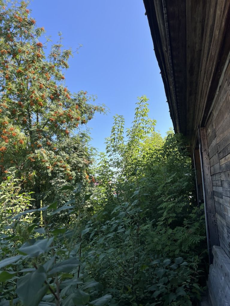 Продажа дома, 33м <sup>2</sup>, 9 сот., Ляхово, Большая,  30