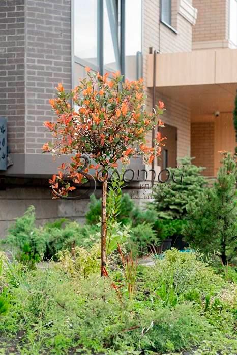 Продажа 1-комнатной квартиры, Пятигорск, Егоршина ул,  6