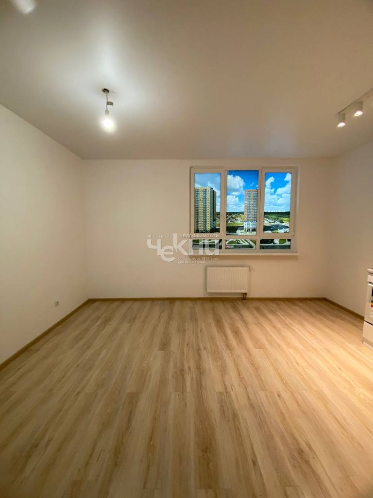 Продажа 1-комнатной новостройки, Анкудиновка, примерно в 0, 3 км на северо-восток от д.Анкудиновка