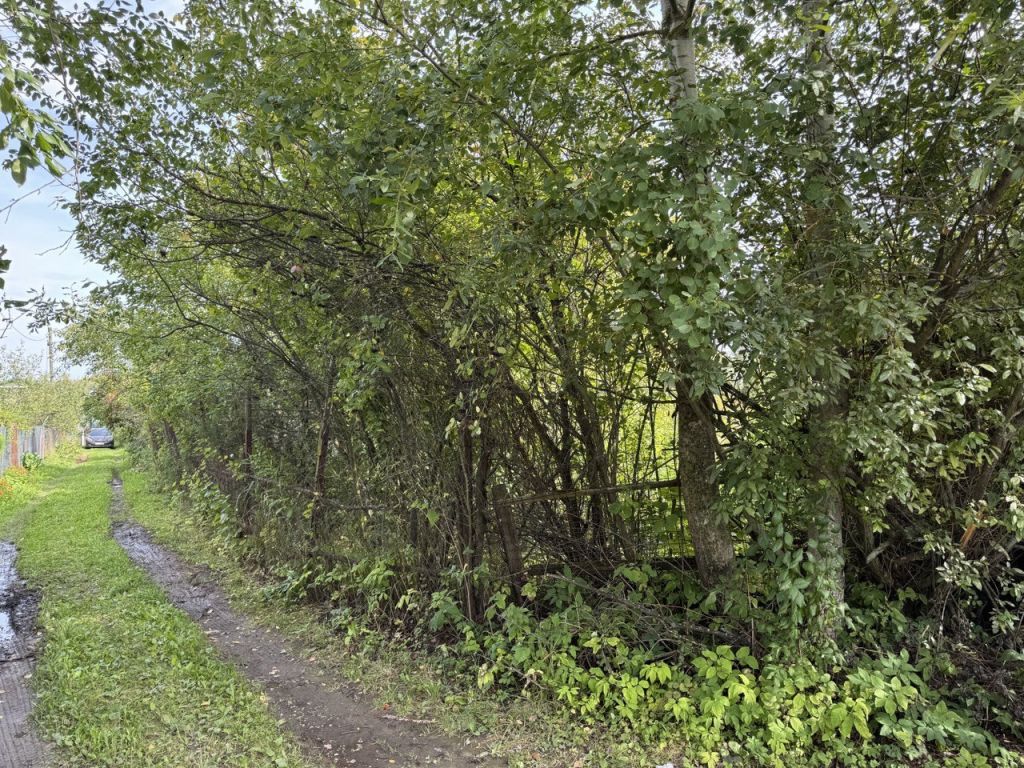 Продажа дачи, 29м <sup>2</sup>, 8 сот., Нижний Новгород, Орловка пос,  153