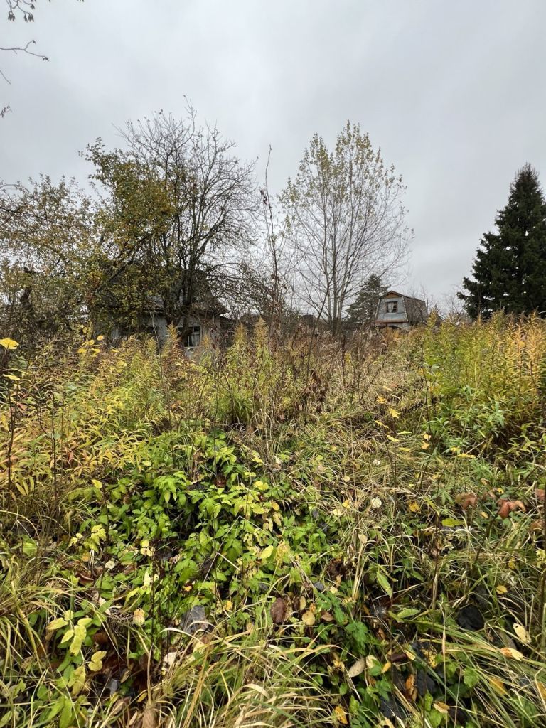 Продажа дачи, 29м <sup>2</sup>, 8 сот., Нижний Новгород, Орловка пос,  153