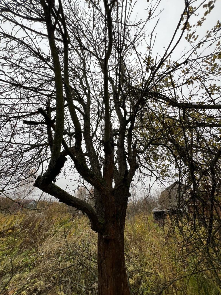 Продажа дачи, 29м <sup>2</sup>, 8 сот., Нижний Новгород, Орловка пос,  153