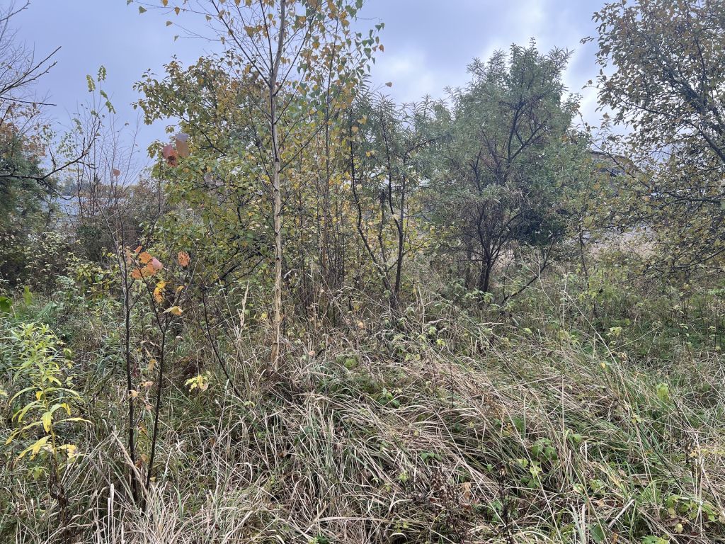 Продажа дома, 47м <sup>2</sup>, 17 сот., Пенкино, Центральная