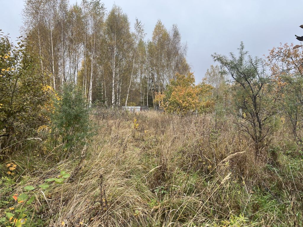 Продажа дома, 47м <sup>2</sup>, 17 сот., Пенкино, Центральная