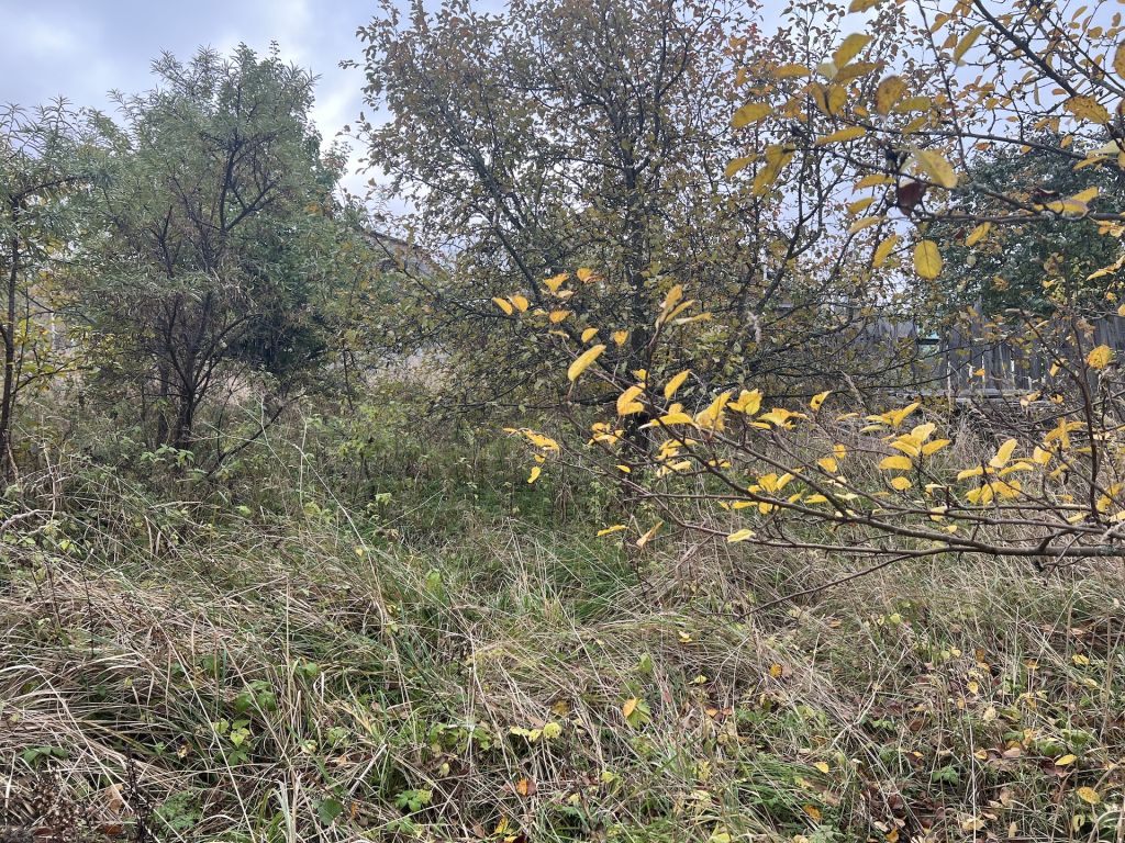 Продажа дома, 47м <sup>2</sup>, 17 сот., Пенкино, Центральная