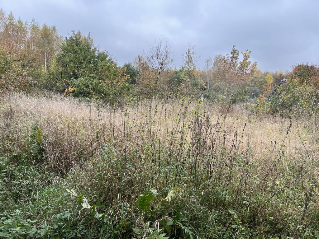 Продажа дома, 47м <sup>2</sup>, 17 сот., Пенкино, Центральная