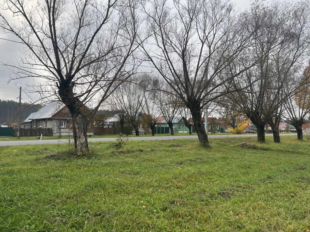 Продажа дома, 47м <sup>2</sup>, 17 сот., Пенкино, Центральная