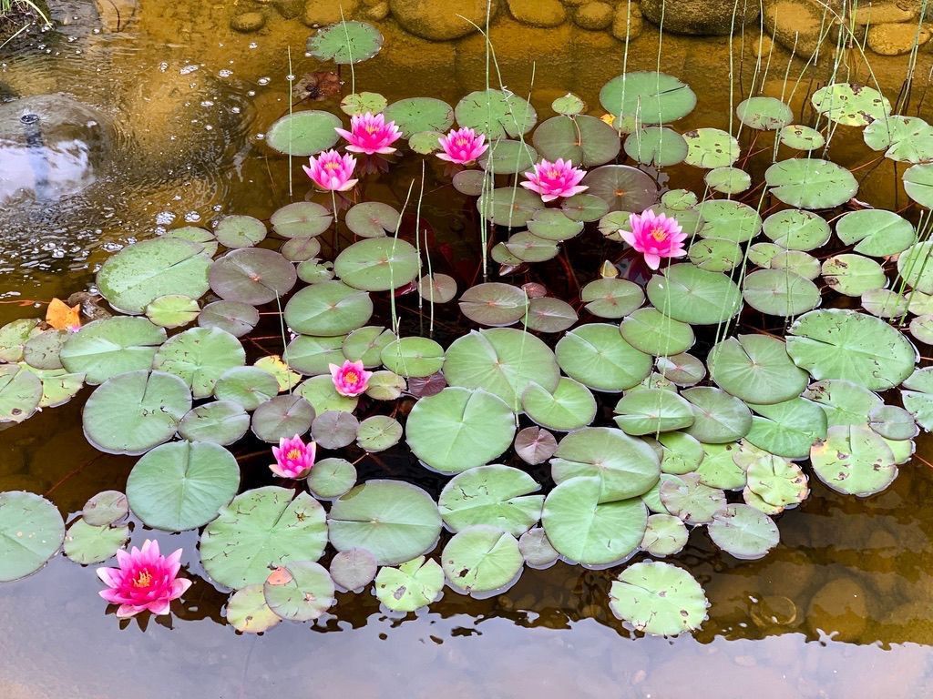 Продажа дома, 206м <sup>2</sup>, 10 сот., Шумилово, Карловы вары,  11