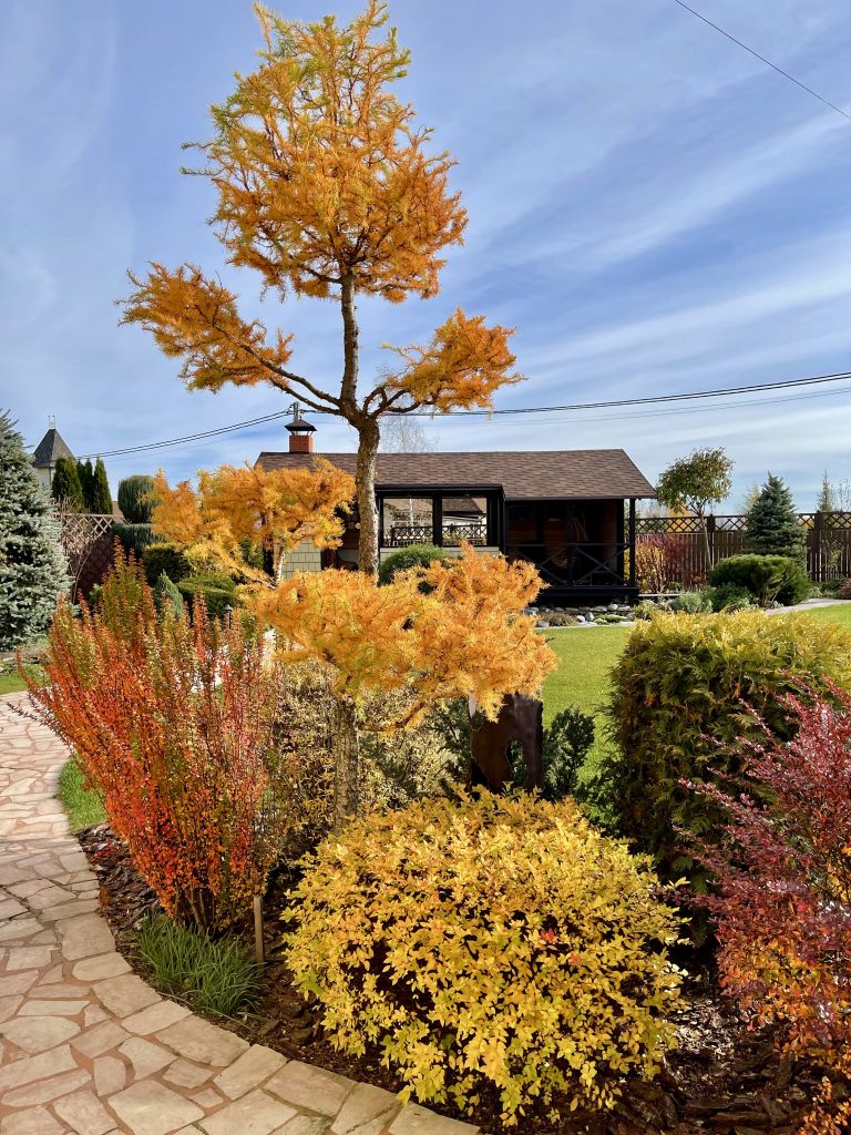 Продажа дома, 206м <sup>2</sup>, 10 сот., Шумилово, Карловы вары,  11