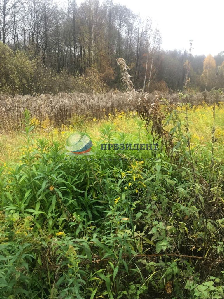 Продажа участка, Нижегородская,  35