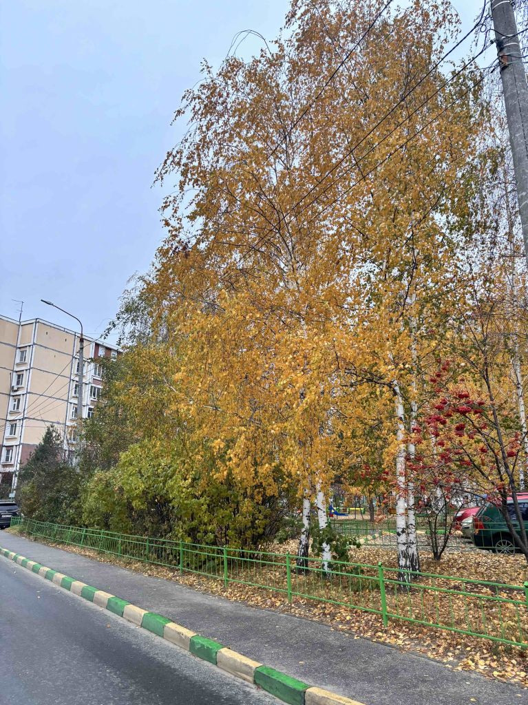 Продажа 2-комнатной квартиры, Нижний Новгород, Керченская ул,  20В