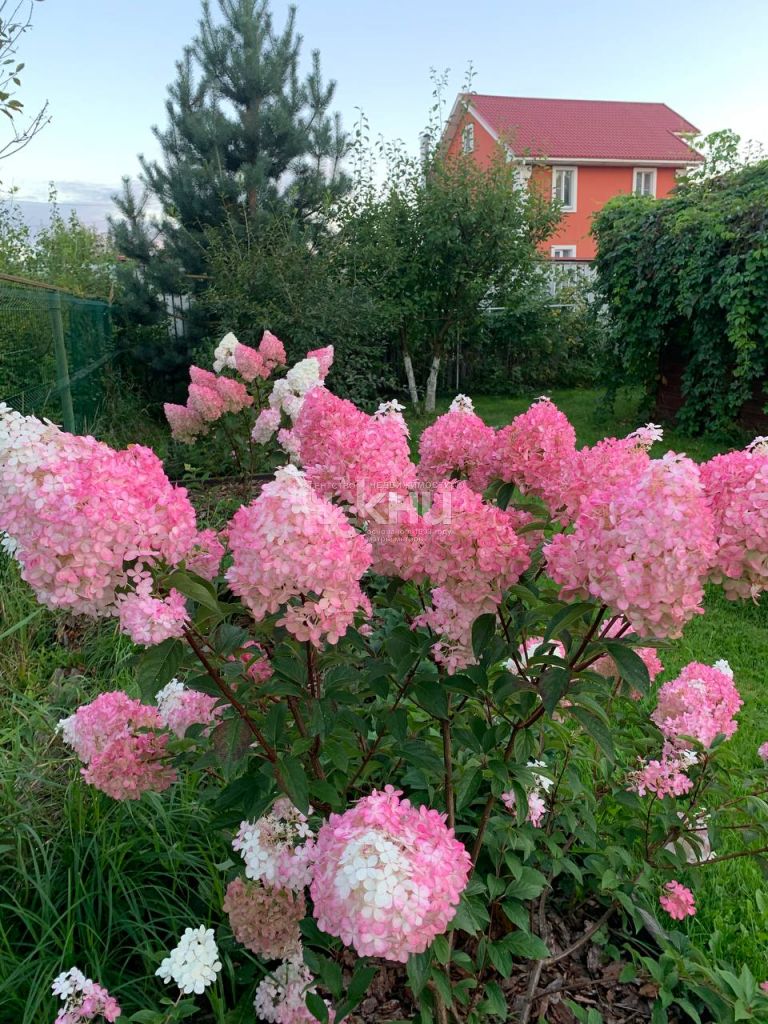 Продажа дома, 314м <sup>2</sup>, 10 сот., Нижний Новгород, 11-я линия,  59