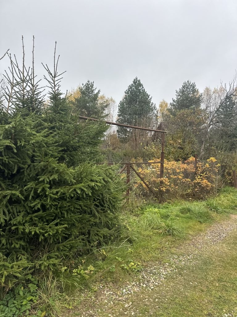 Продажа дачи, 51м <sup>2</sup>, 8 сот., Волжские зори, 7