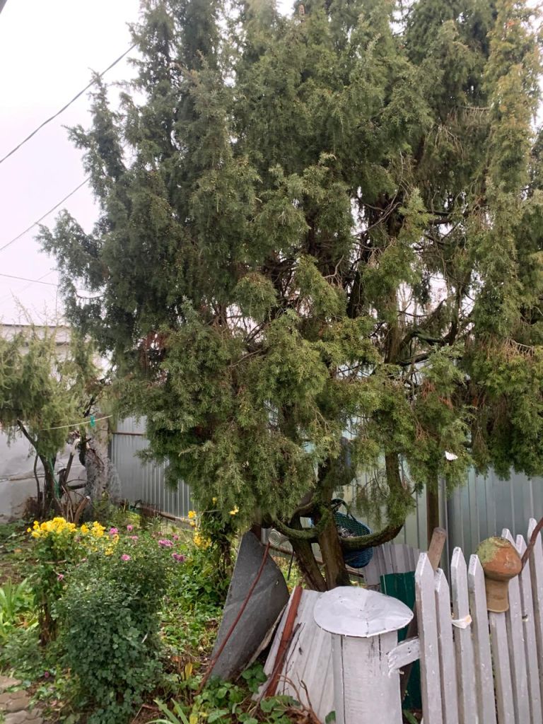 Продажа дома, 54м <sup>2</sup>, 5 сот., Шуя, Ярославская ул