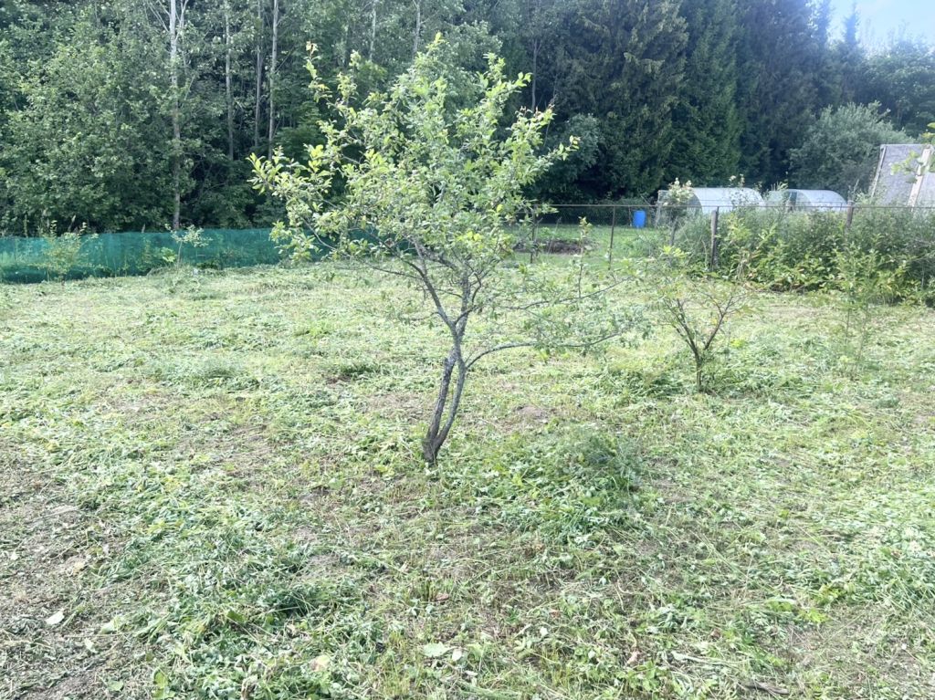 Продажа дома, 35м <sup>2</sup>, 8 сот., Химик-1, 1-я Северная,  8