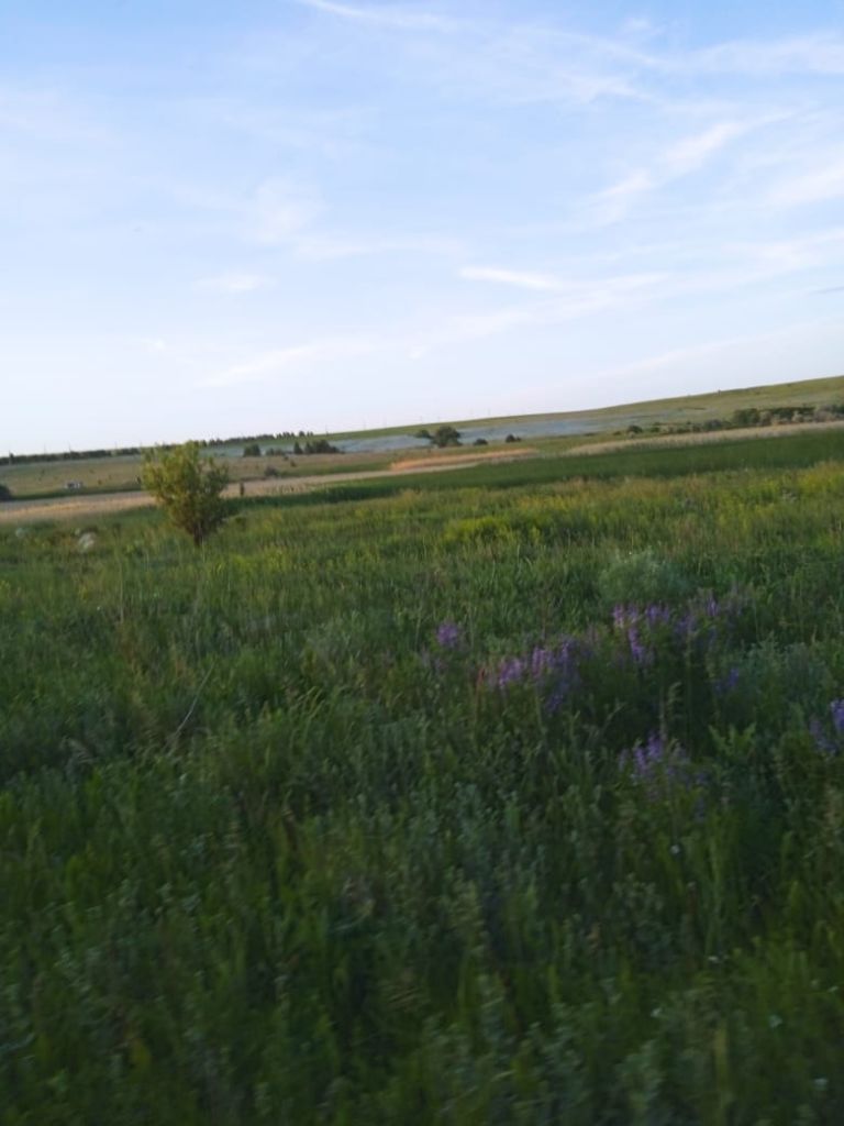 Продажа участка, Красная Речка