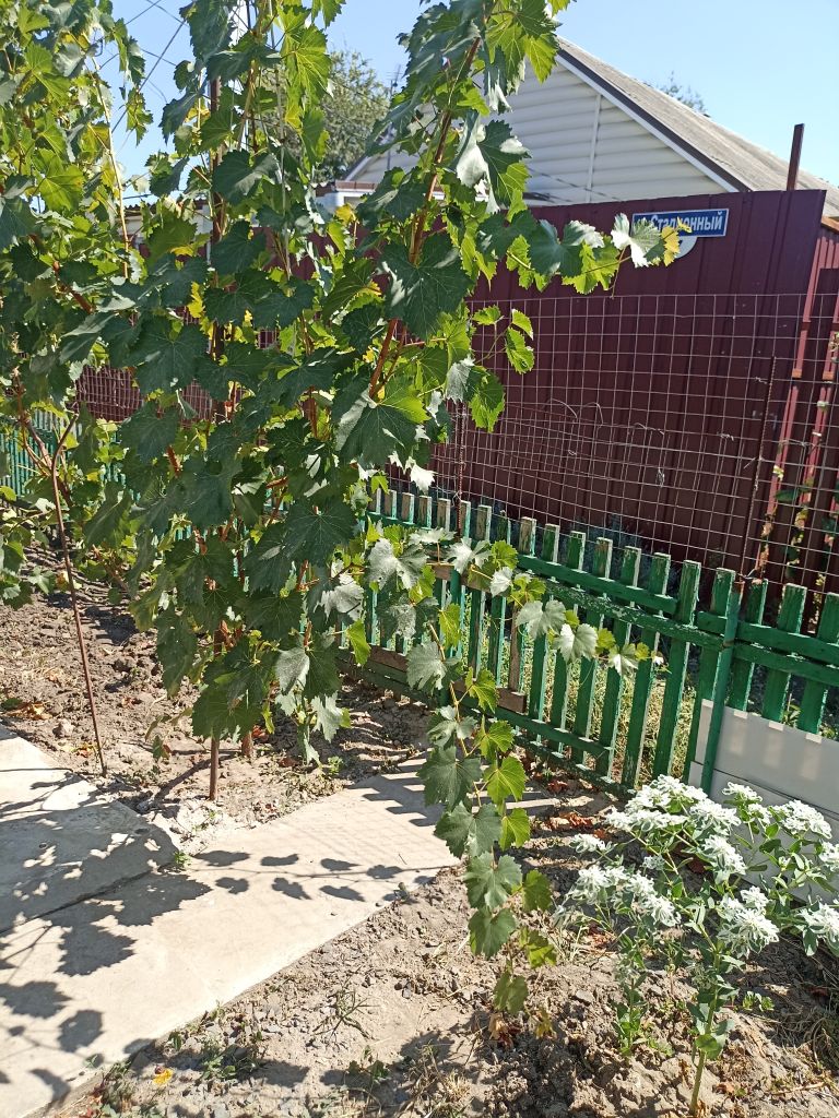 Продажа 2-комнатной квартиры, Батайск, Коваливского ул,  1