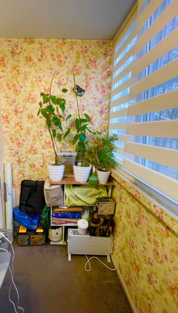 Продажа 2-комнатной квартиры, Нижний Новгород, Пермякова ул,  46