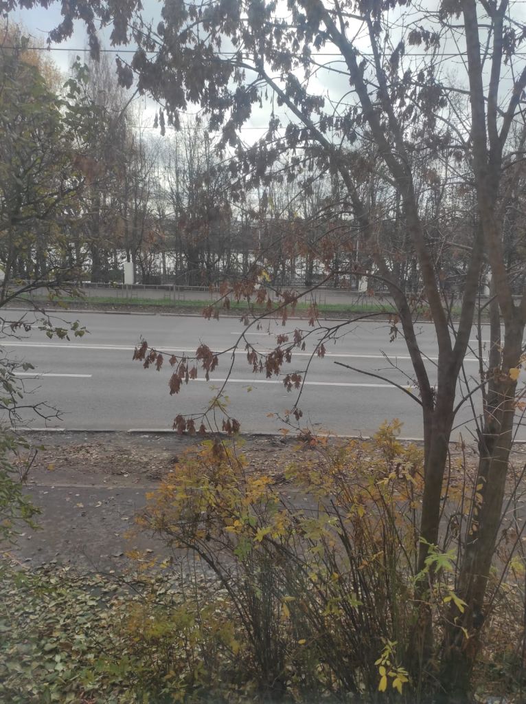 Продажа 2-комнатной квартиры, Тверь, Афанасия Никитина наб,  80