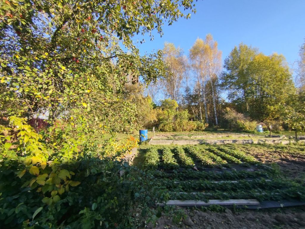 Продажа участка, Костромская, СТ Малинка