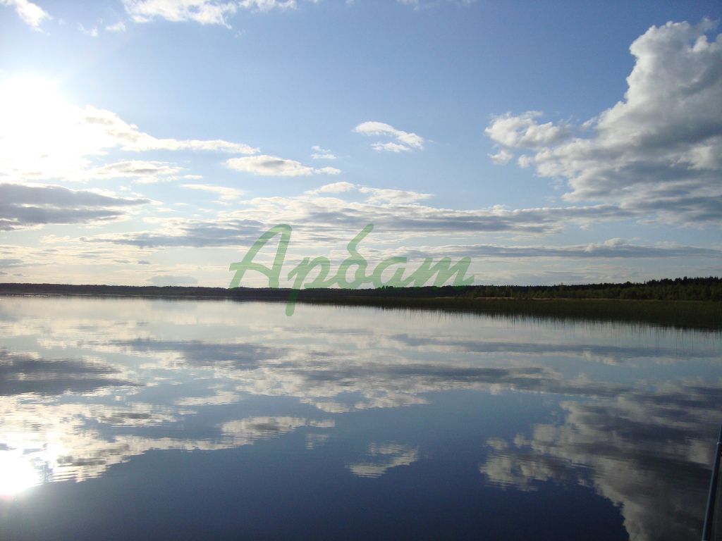 Продажа участка, Лесное