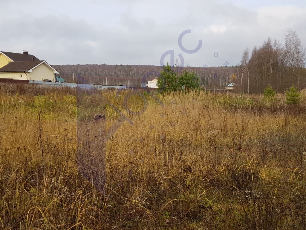 Новая Владимировка д