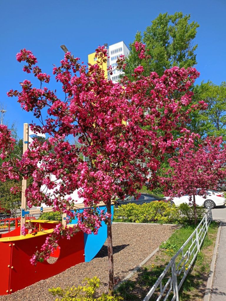 Продажа 3-комнатной квартиры, Нижний Новгород, Академика Сахарова ул,  119к1