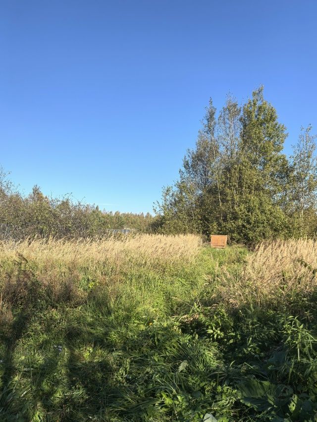 Продажа дачи, 45м <sup>2</sup>, 12 сот., Дворишнево,  29