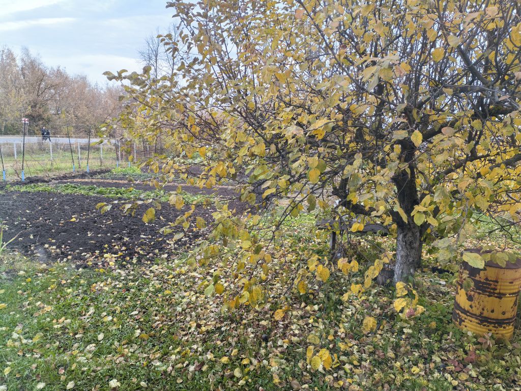 Продажа 4-комнатной квартиры, Лунино, Социальная,  26