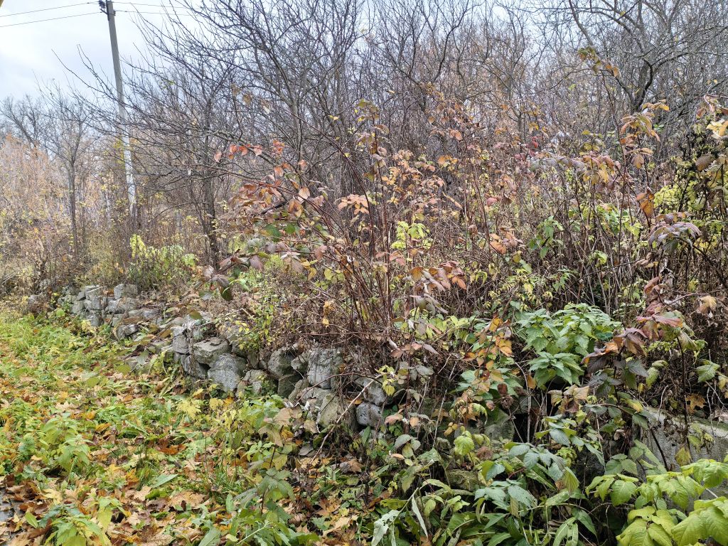 Продажа дома, 45м <sup>2</sup>, 17 сот., Манторово, Свердлова,  120Б