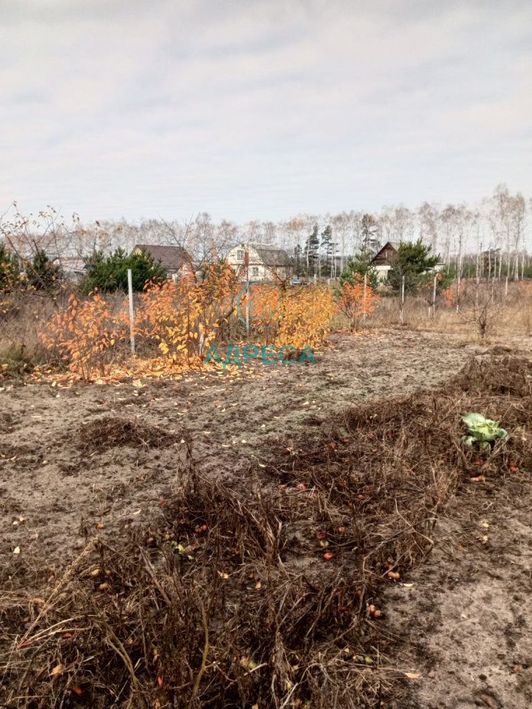 Продажа дома, 76м <sup>2</sup>, 15 сот., Казачок, Строительная