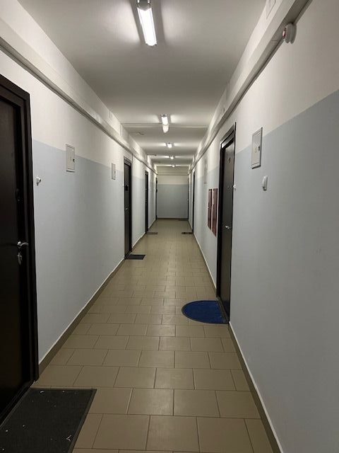 Продажа 1-комнатной квартиры, Нижний Новгород, Бориса Видяева ул,  10