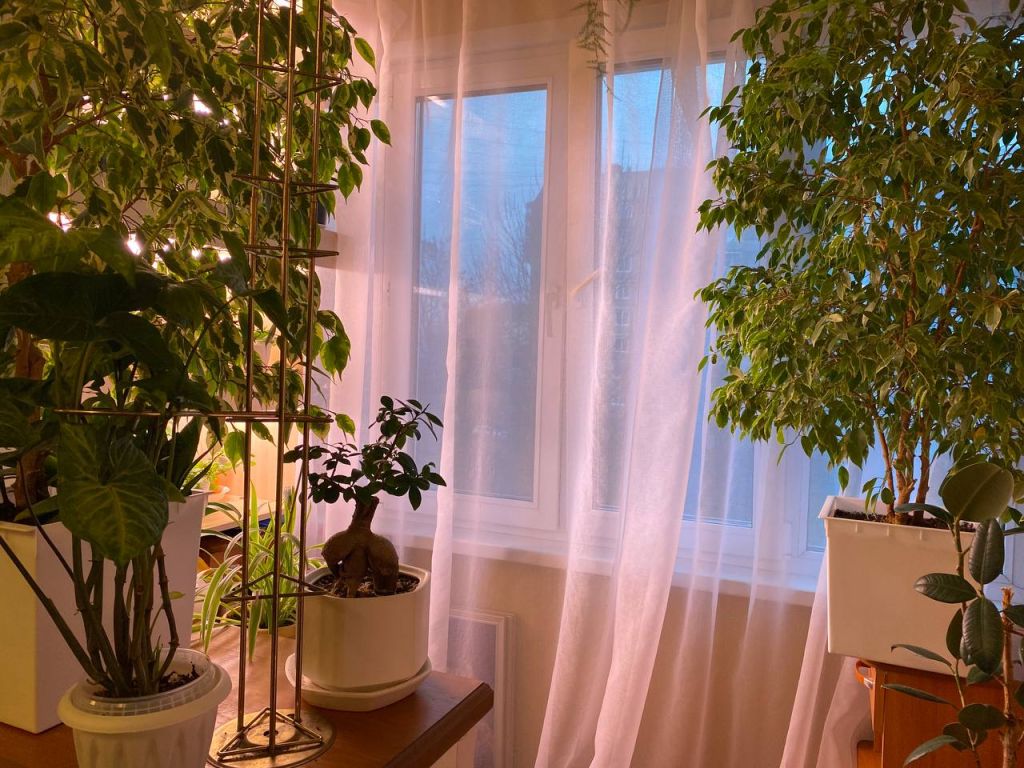 Продажа 3-комнатной квартиры, Иваново, Кохомское шоссе,  8