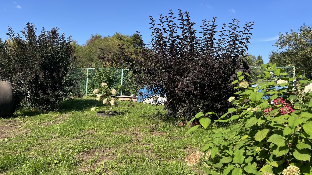 Продажа дома, 318м <sup>2</sup>, 20 сот., Ближнее Борисово, Центральная ,  13