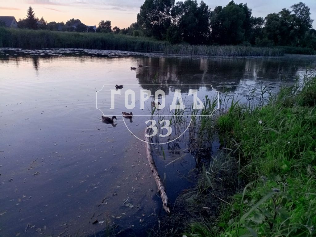 Продажа дачи, 20м <sup>2</sup>, 3 сот., Владимир, Юбилейный СНТ,  457