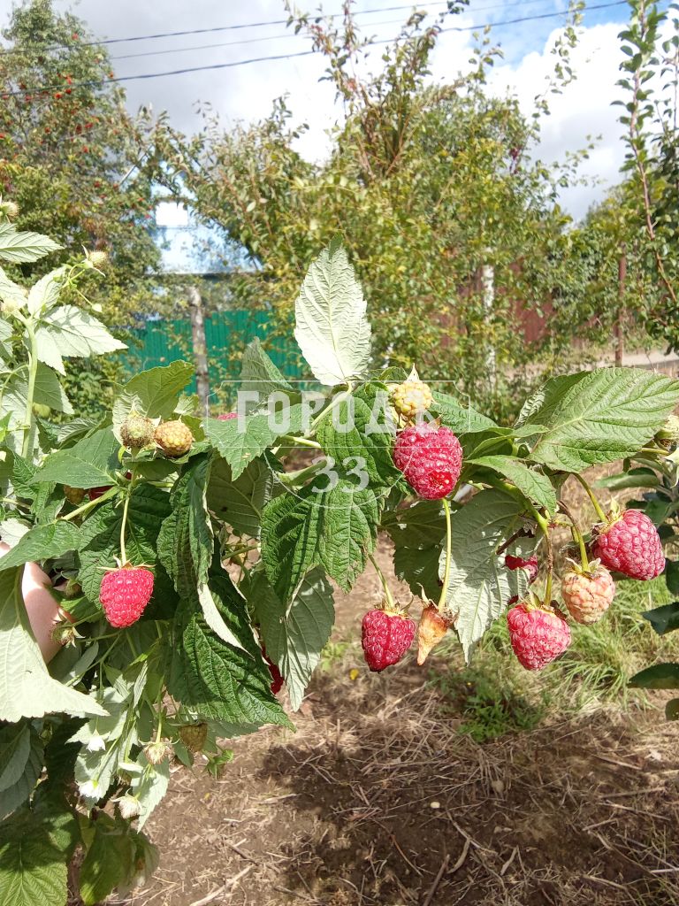 Продажа дачи, 41м <sup>2</sup>, 3 сот., Владимир, Юбилейный СНТ,  370