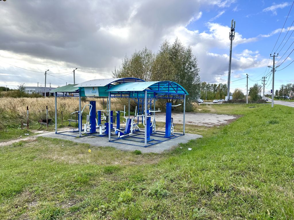 Продажа 1-комнатной квартиры, Новинки, Весенний пр-д,  12