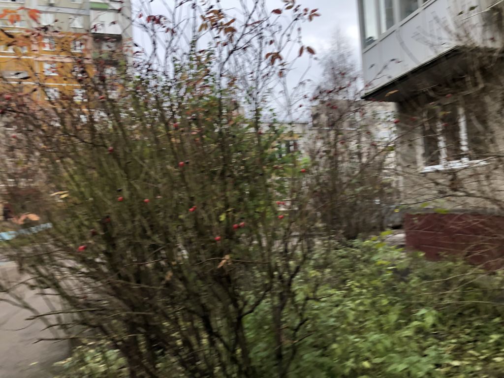 Продажа 2-комнатной квартиры, Нижний Новгород, Комсомольская ул,  19