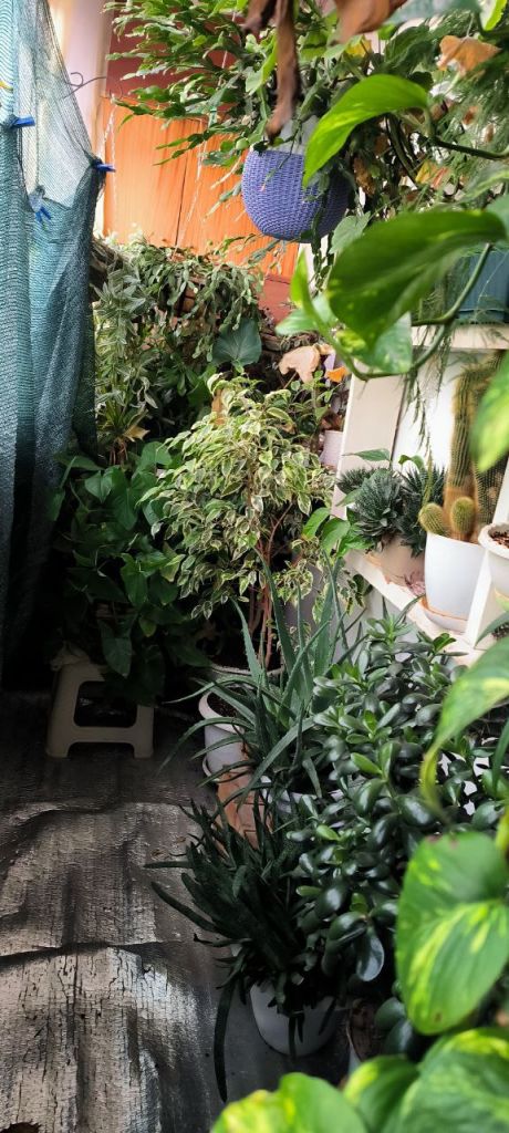 Продажа 2-комнатной квартиры, Нижний Новгород, Заречный бульвар,  1