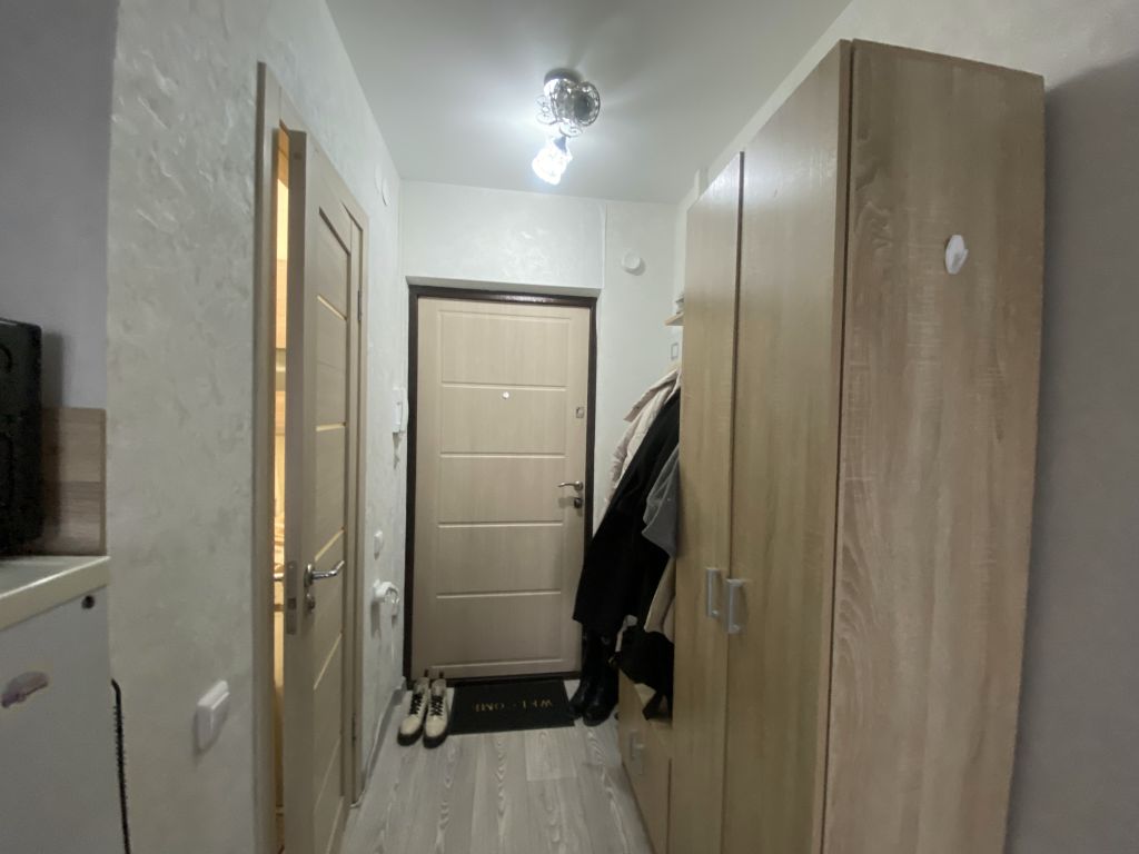 Продажа 1-комнатной квартиры, Нижний Новгород, Бориса Видяева ул,  20