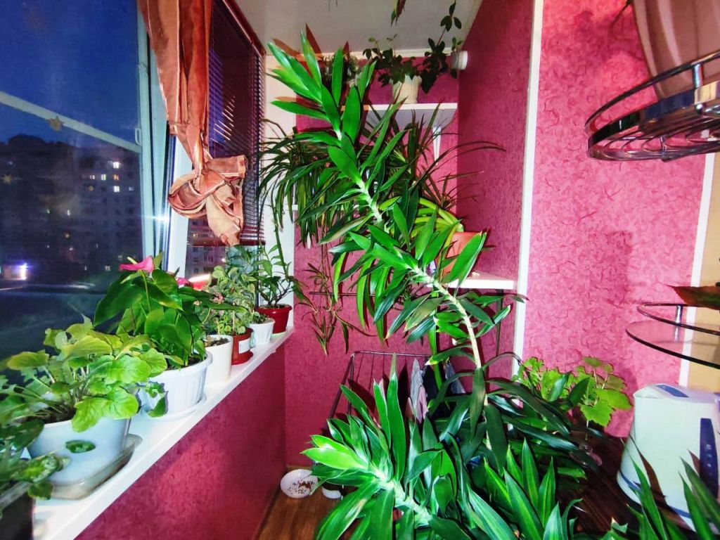 Продажа 2-комнатной квартиры, Кострома, Китицынская ул,  8