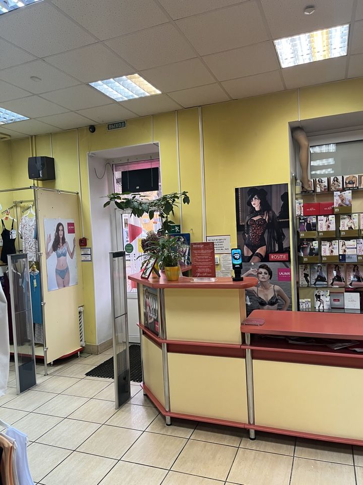 Продажа коммерческой недвижимости, 86м <sup>2</sup>, Нижний Новгород, Чаадаева ул,  23