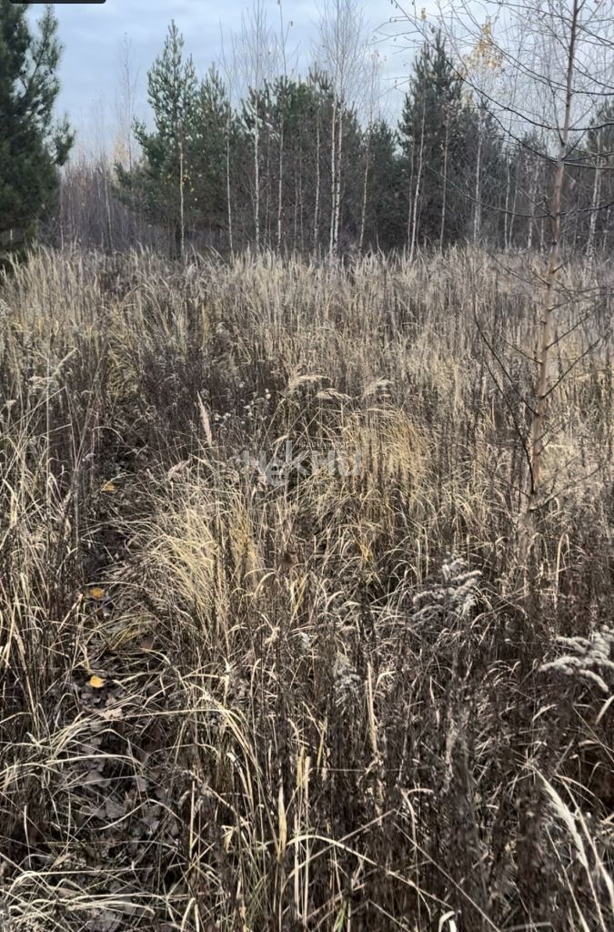 Продажа участка, Безводное