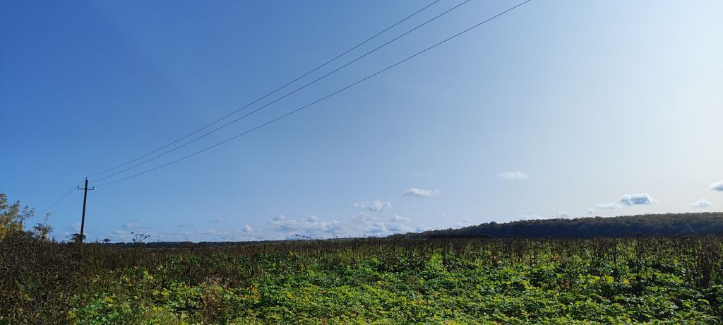 Продажа участка, Придорожный