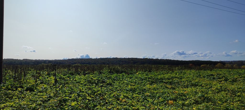 Продажа участка, Придорожный