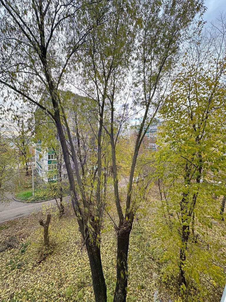 Продажа 1-комнатной квартиры, Нижний Новгород, Ленина пр-кт,  28 В