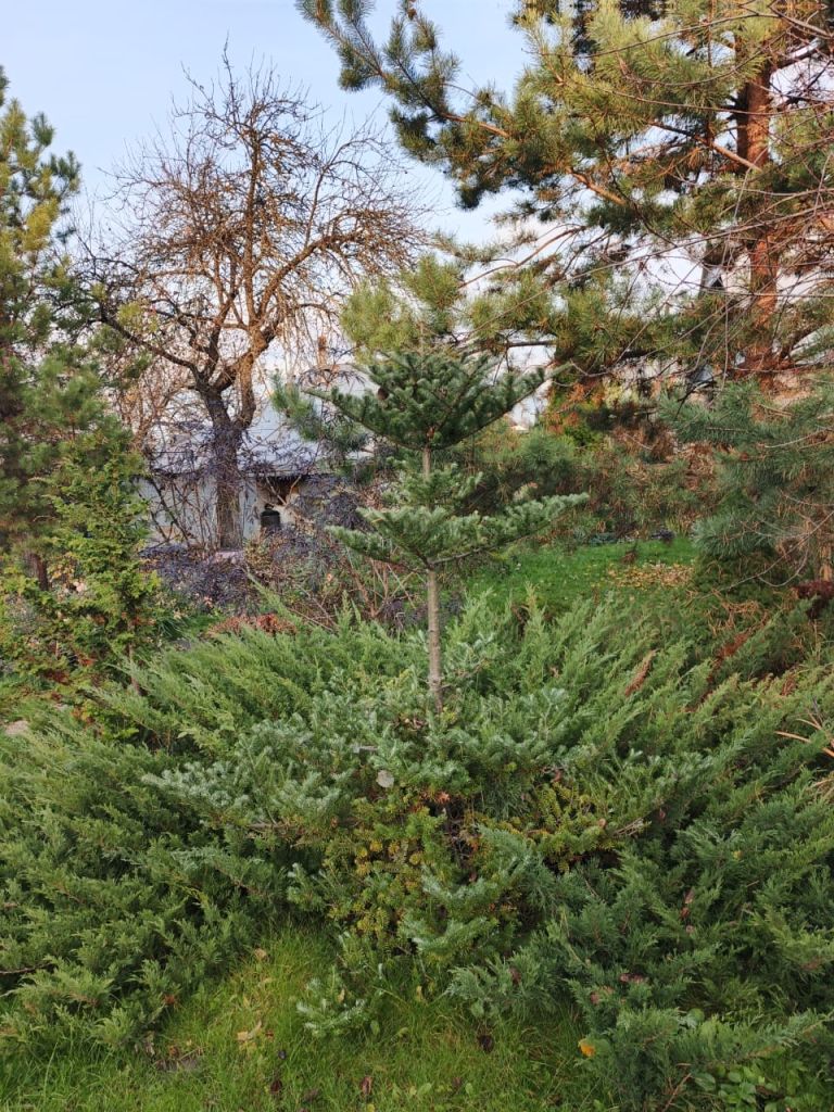 Продажа дома, 41м <sup>2</sup>, 7 сот., Тула, 6-й проезд Мясново,  12