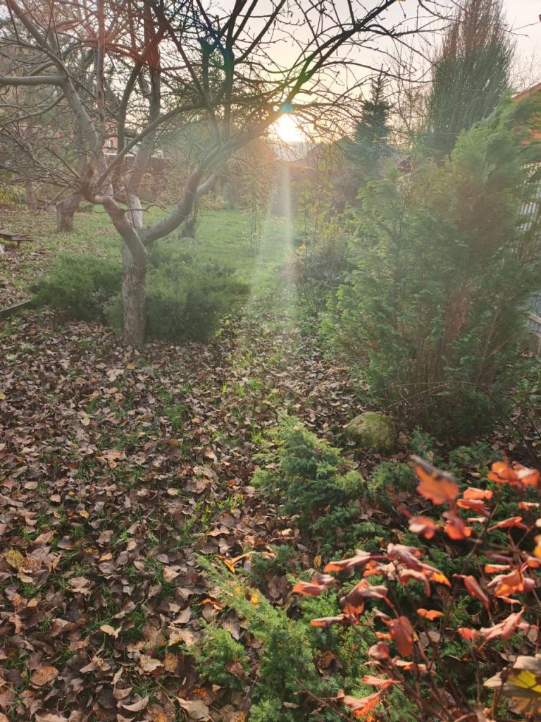 Продажа дома, 41м <sup>2</sup>, 7 сот., Тула, 6-й проезд Мясново,  12