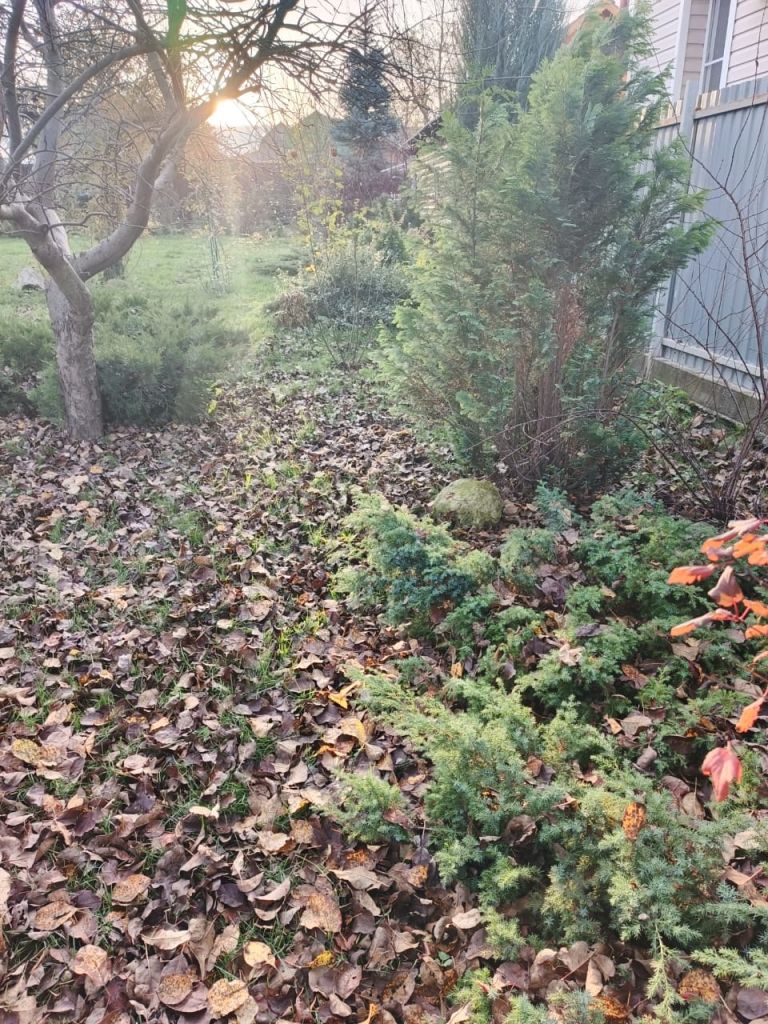 Продажа дома, 41м <sup>2</sup>, 7 сот., Тула, 6-й проезд Мясново,  12