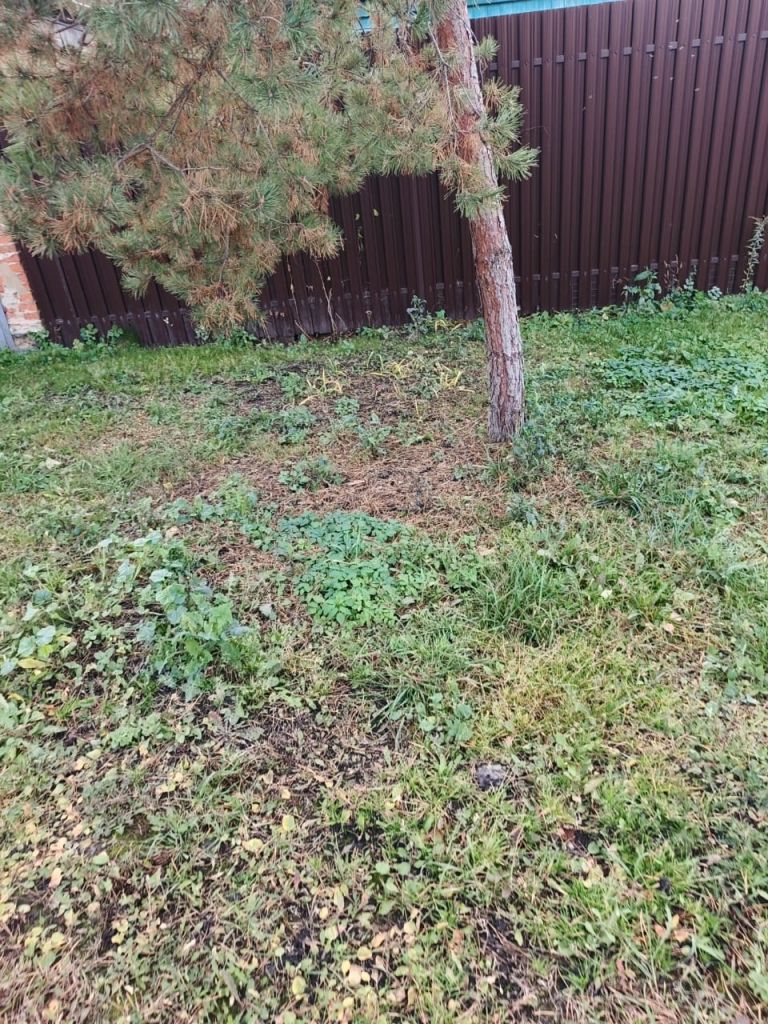 Продажа дома, 41м <sup>2</sup>, 7 сот., Тула, 6-й проезд Мясново,  12